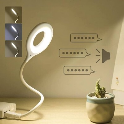 Voice controller Light